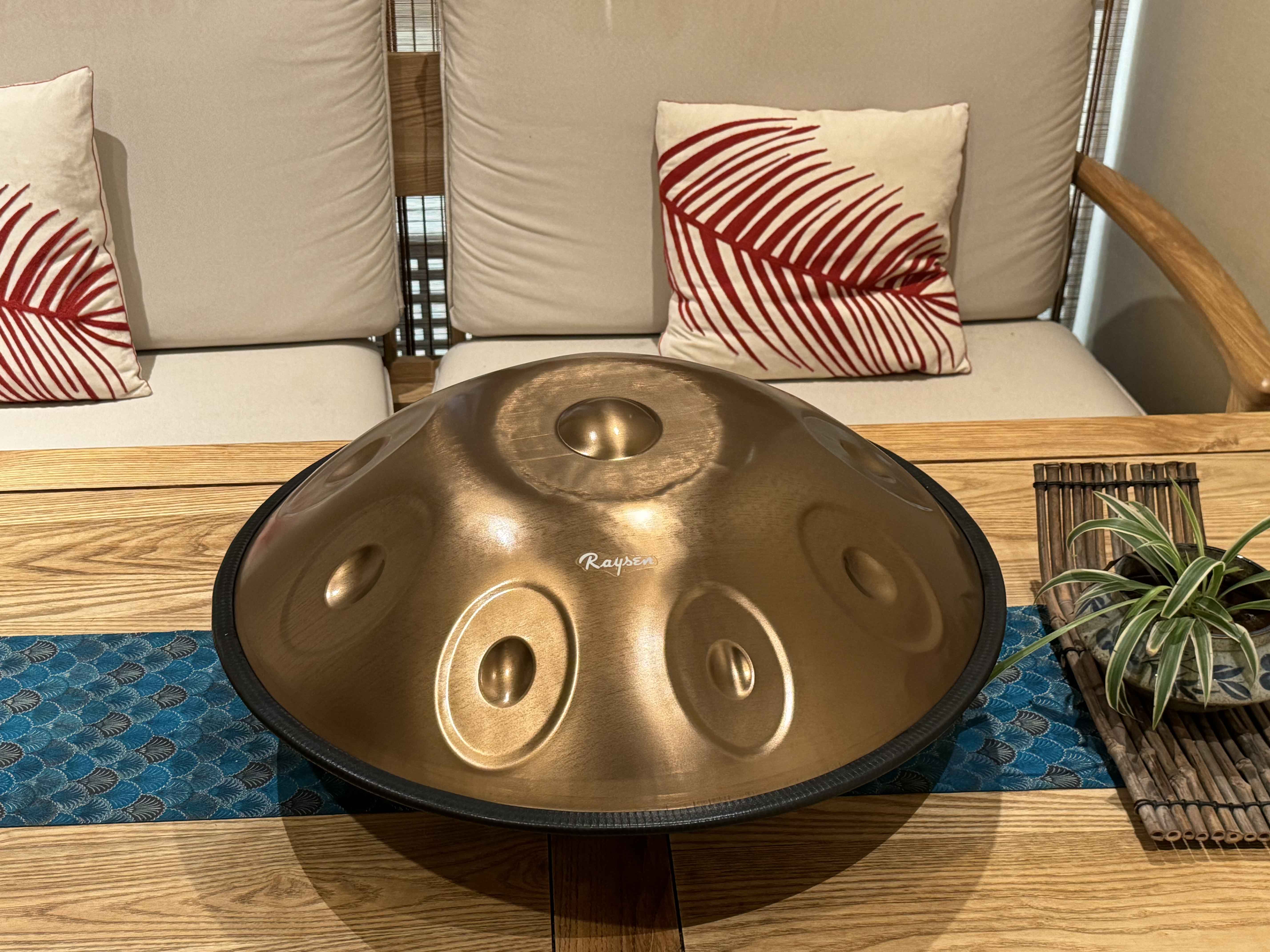 Descobrint el Handpan per a principiants Raysen Una col·laboració amb el mestre Sungeun Jin