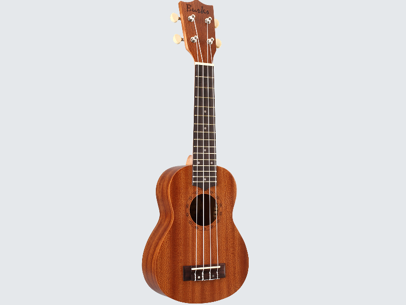 concert ukulele